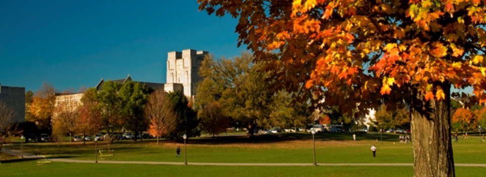 Burruss Hall; fall leaves