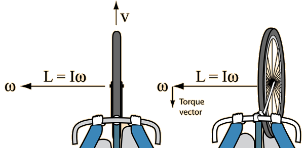 DIagram showing the direction of the Torque Vector when a cyclist is perpendicular to the ground and leaning while moving